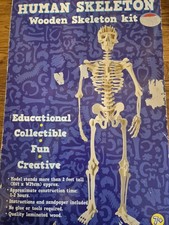 Skeleton Anatomy Model - Build knowledge of the human skeleton