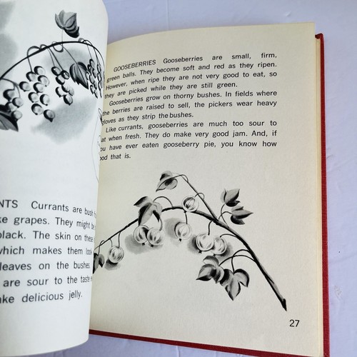 Vintage “About Fruit” Solveig Paulson Russell Arnold Dobrin 1962 Melmont - Picture 16 of 19