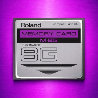 Roland 8GB CF CompactFlash Memory Card for Fantom-X6, X7, X8 XR Xa Verified M-8G