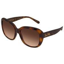Coach HC8207F Dark Tortoise Smoke Gradient Sunglasses, 57-17-140
