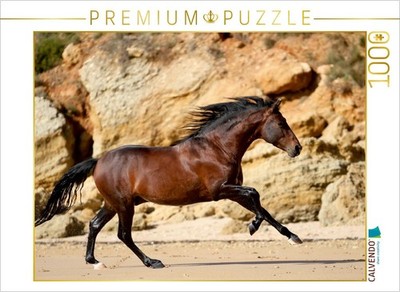 CALVENDO Puzzle Ein Motiv aus dem Kalender Caballos Spanische Pferde 2017 1000 T