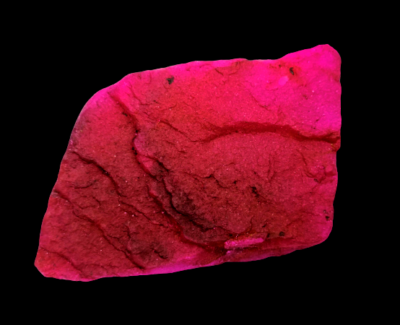 Dyed 979.20 Ct Natural Red Ruby Uncut Rough EGL Certified