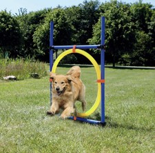 Agility Hoop Jump Training Set Hoop Pet Agility Training Equipment Dog Germany