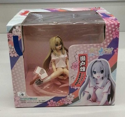 Orchideensamen Seto Yan 17 Scale Bride of Gebraucht