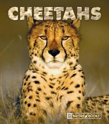 Cheetahs Hardcover Jenny Markert