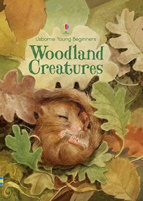 Woodland Creatures (Usborne Young Beginners) - Hardcover - VERY GOOD