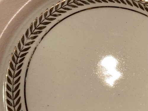 BEST DEAL! American Limoges "Federal Coral Pink" Bread & Butter Plates 22K Gold - Picture 7 of 9