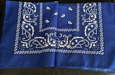 UNISEX BLUE AND WHITE BANDANA (MEN WOMEN) FOR NECK AND FOREHEAD, HEAD