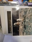 Picture 4 of 10
