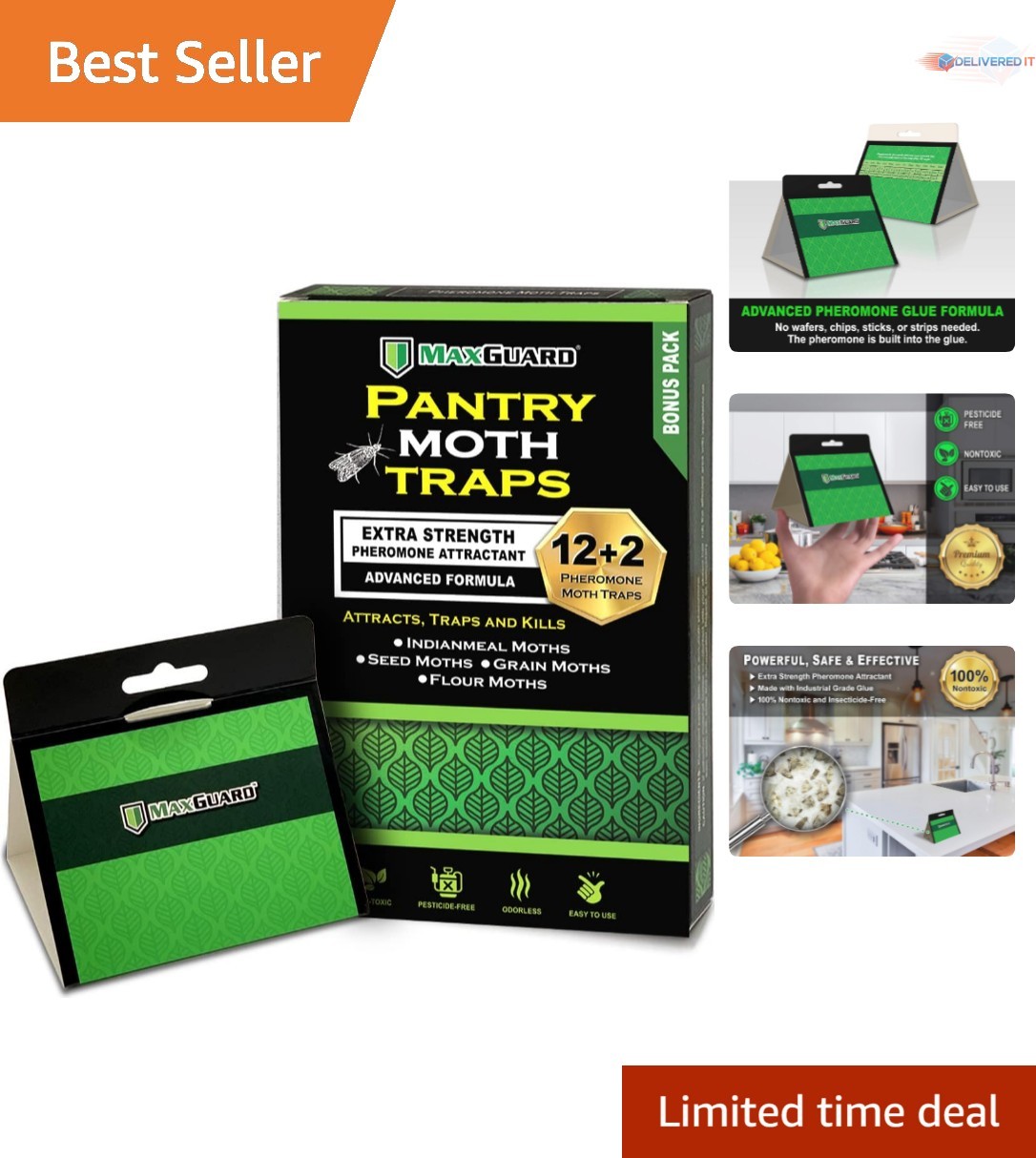 Cupboard Insect Control