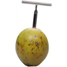 Heavy Duty Food Grade Stainless Steel Tender Green Coconut Opener