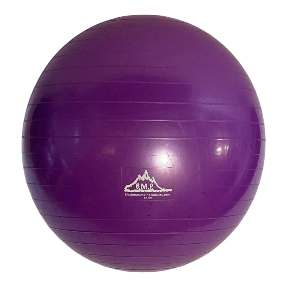 Lote 3 Black Mountain Products 75cm, 55cm y 65cm Thera-band Gimnasio Pro Pelota de Ejercicio Foto 3 de 4