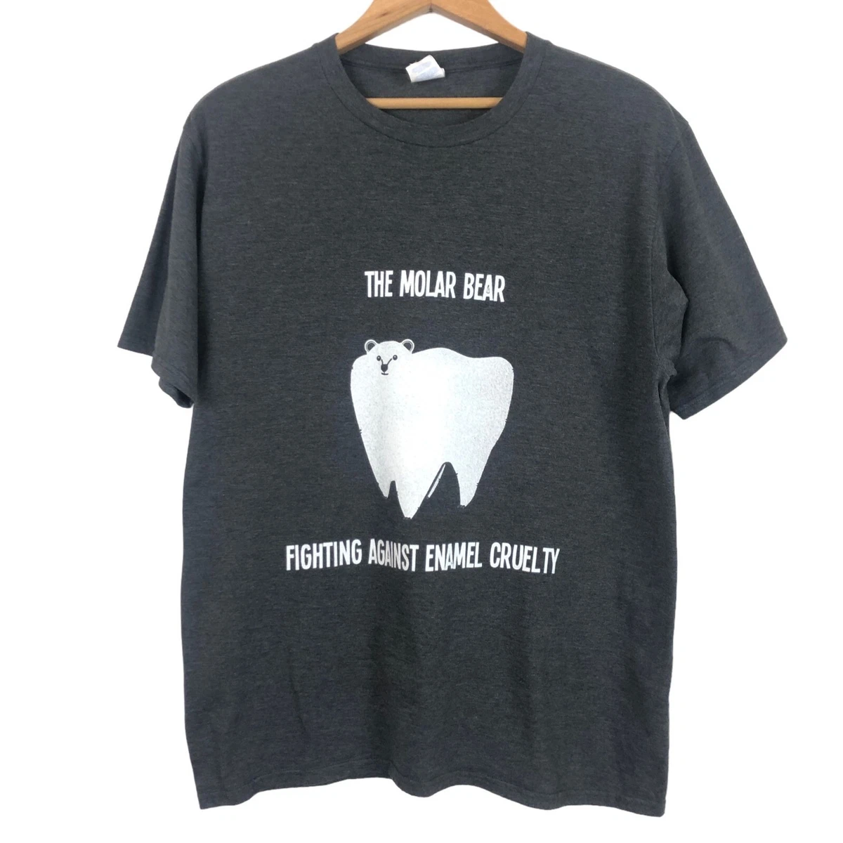 Molar bear 2024