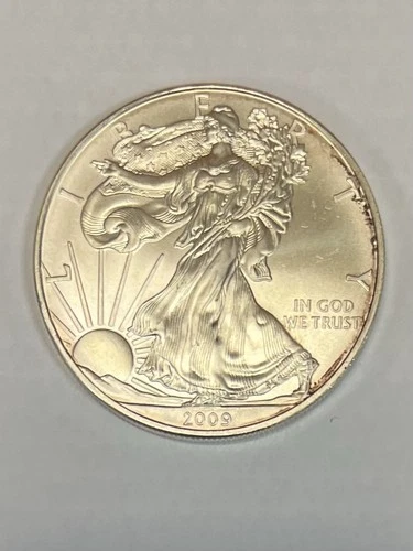 2009 - 1 oz American Silver Eagle Coin - One Troy oz .999 Bullion