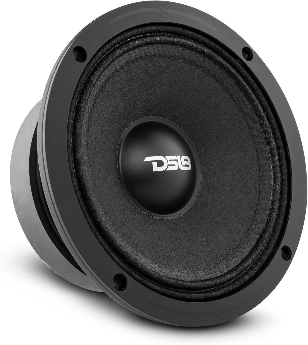 DS18 PRO-ZXI6M PRO-X 6.5