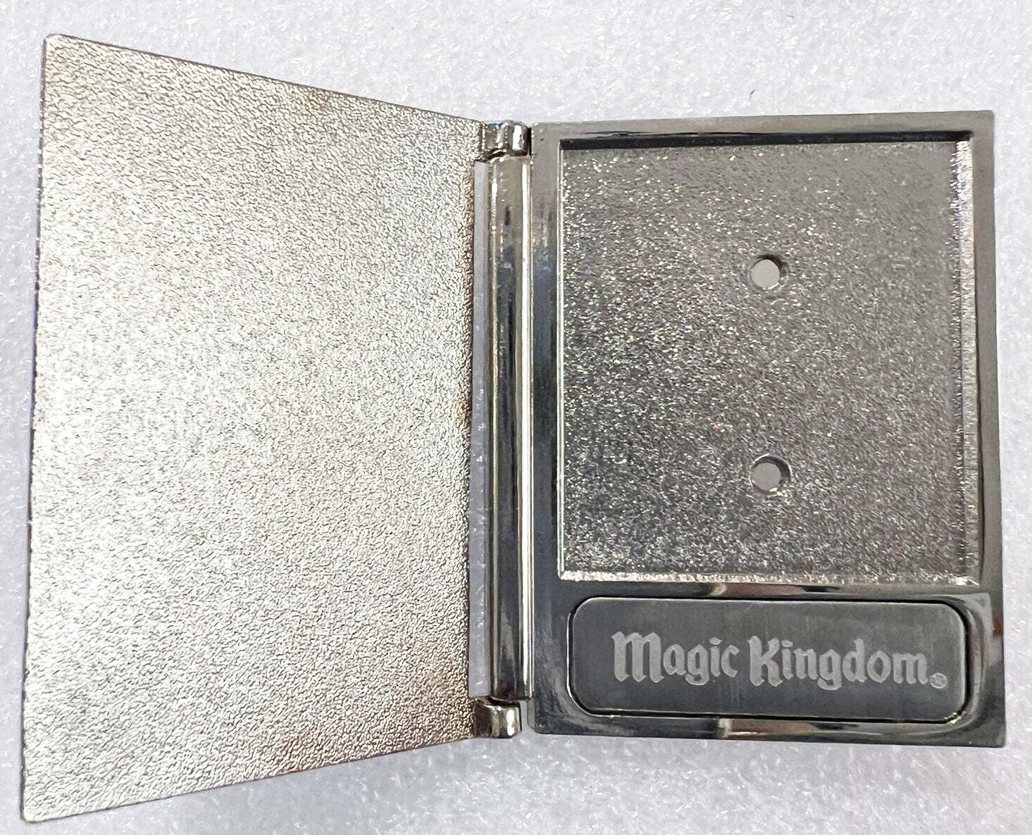 cinderella-blue-insert-main-entrance-pass-guide-wdw-cast-disney-pin