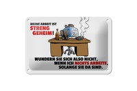 Blechschild Spruch 18X12Cm Meine Arbeit Ist Streng Geheim Deko Schild