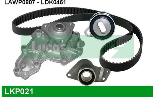 LUCAS de + correa distribución RENAULT CLIO KANGOO LKP021 | eBay