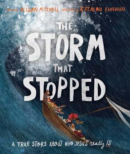 The Storm That Stopped Storybook: A True Story about Who Jesus Really Is: Used
