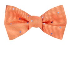 Men's 100 Dot Silk Designer Self Tie Woven Bowtie- NWT