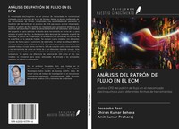 Sesadeba Pani (U. A.) | AnÁLisis Del PatrÓN De Flujo En El Ecm | Taschenbuch