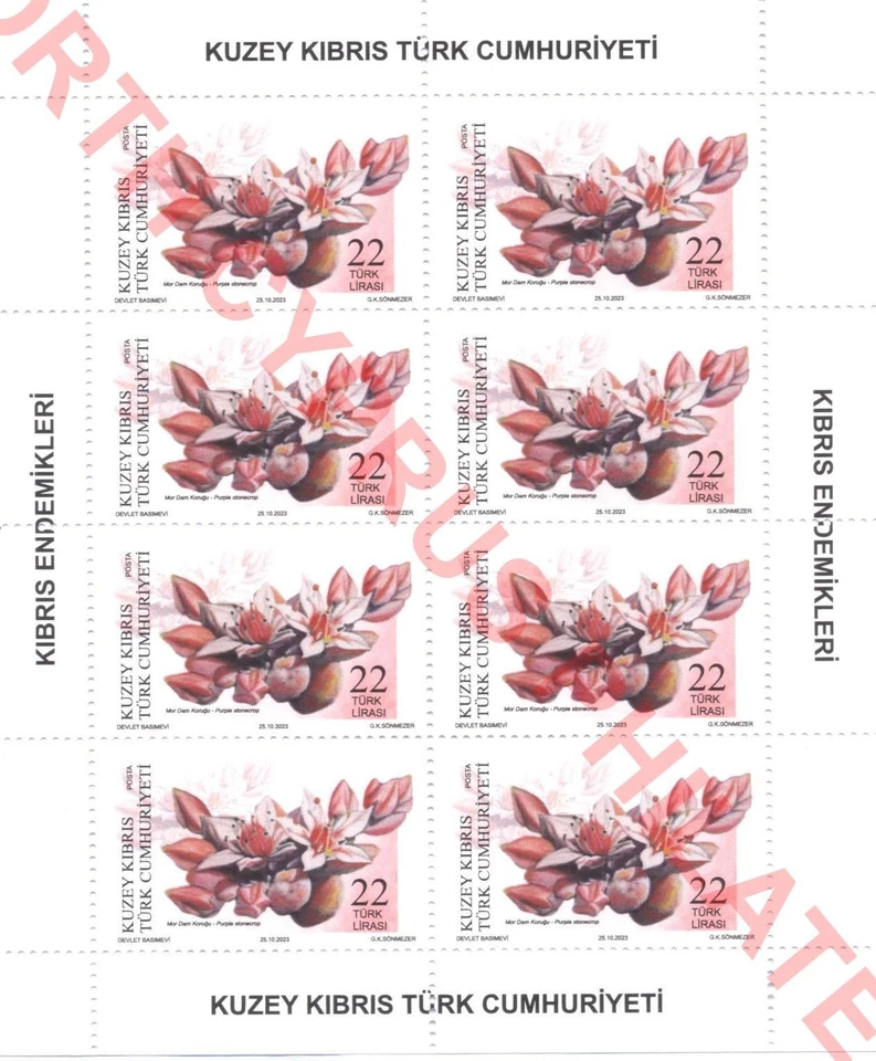 Minishoja de flores de plantas endémicas del norte de Turquía de Chipre 2023, MNH Foto 3 de 4