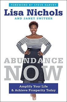 Abundance Now: Amplify Your Life  Achieve Prosperity To... | Buch | Zustand gut