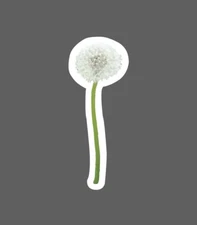 Dandelion Sticker Flower Wish Waterproof Plant Weed Gift NEW