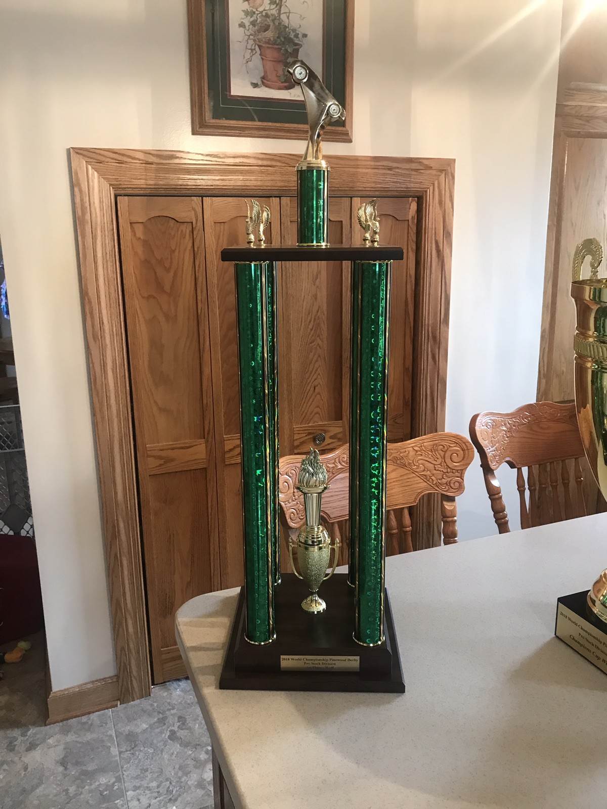 Pinewood Derby Stencil by Derby Master! ( Paint like A Pro !!!) eBay