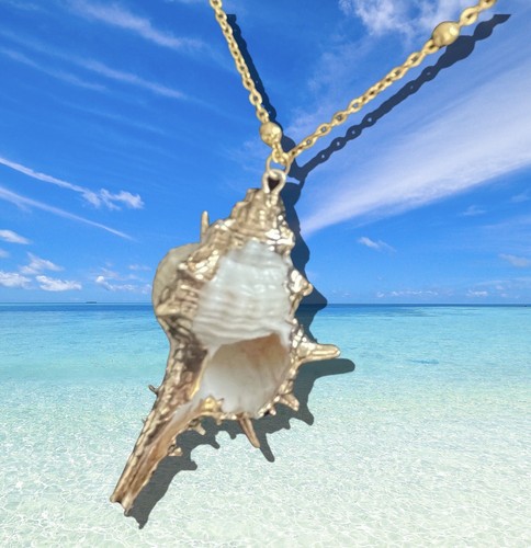 Oceanus Amphitrite Sea Shell Dipped Goldtone Pendant 2.25"Long x 1"Wide Necklace - Picture 7 of 24