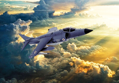 Hawker Siddeley Sea Harrier Leinwandbilder verschiedene Größen kostenlose Lieferung 