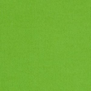 Fabric Solid Lime Green Heavyweight Fabriquilt Flannel 1/4 Yard 156-76 | eBay
