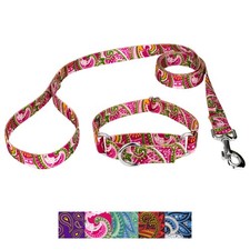 Country Brook Petz Martingale Collar and Leash - Paisley Collection