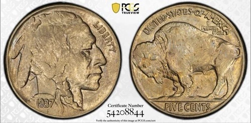 1937 P Buffalo Nickel PCGS AU58 Gold Shield Slab Toned