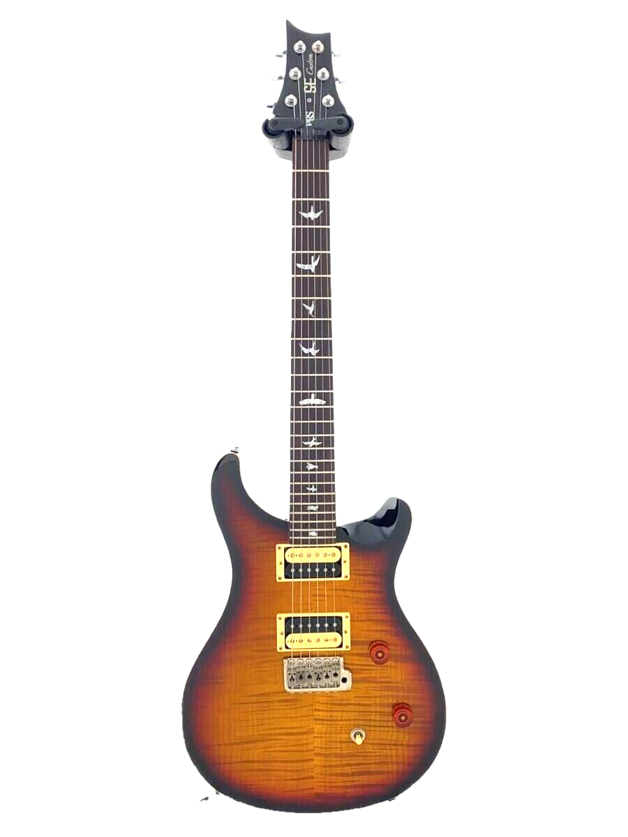 PRS(Paul Reed Smith) 2011 SE Custom 24 Bird Inlay | eBay