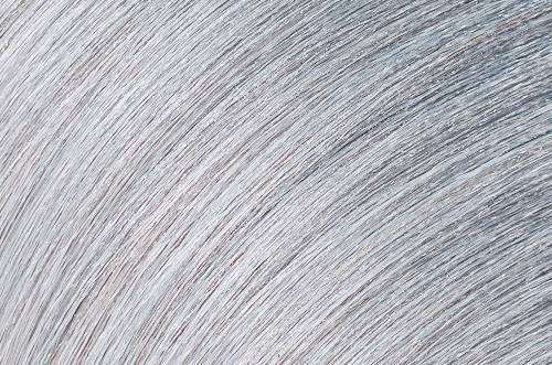 Toner Gloss 2oz (choose Your Shades)