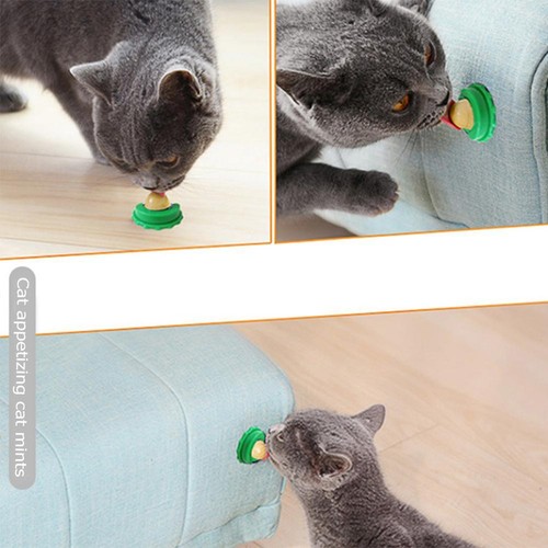 Caramelo para lamer hierba gatera gato para gatito aumentar beber bola energética bocadillo - Imagen 2 de 4