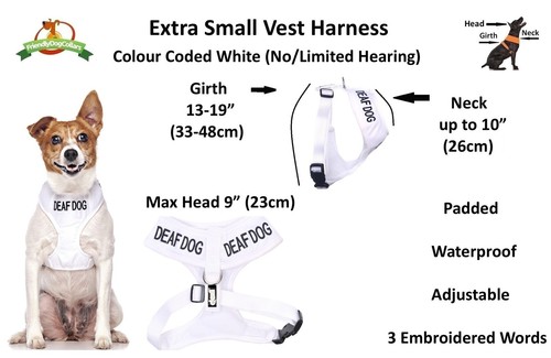Warning Dog Colour Coded Collar Lead Harness CAUTION, TRAINING Sizes & Styles - Picture 37 of 39