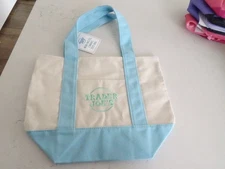 Trader Joe’s Mini Canvas Tote Bag ~ Pastel Blue ~ Spring 2025 ~ New With Tag