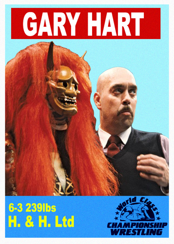 2023 LJACards "WCCW"" Historia de la lucha libre Tarjetas coleccionables ACEO Tarjeta de novedad - Imagen 23 de 48