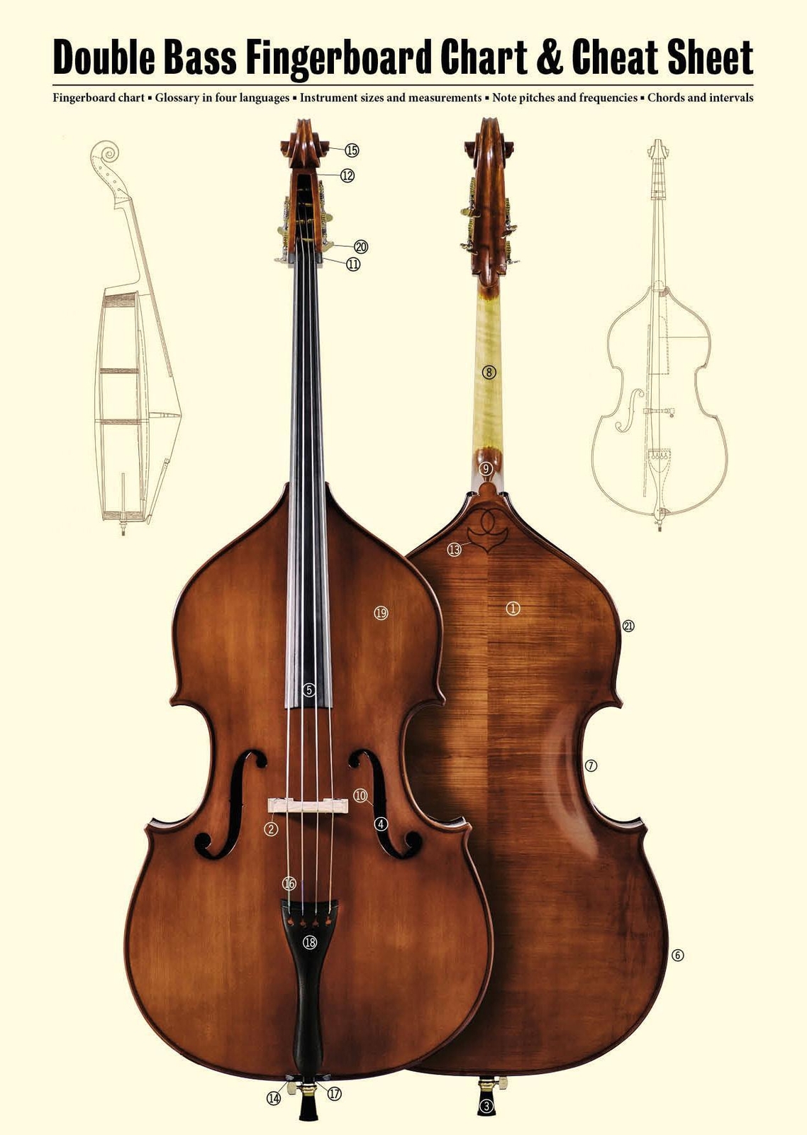 Thumbnail - Double Bass Fingerboard Chart & Cheat Sheet | Jonas Lohse |
