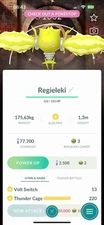 Shiny Regieleki Special Background 2025 - MlNl P T C - Read Description