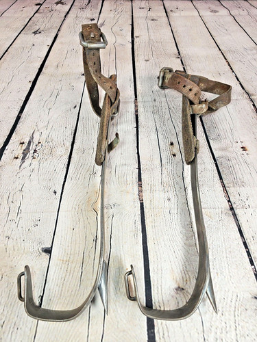 Vintage 1946 Bell System Lineman Pole Climbers Buckingham Gaffs Spurs AT&T 15.5"