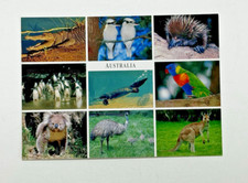 Australian Wildlife Postcard New and unused