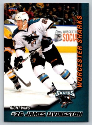 James Livingston 2013-14 Worcester Sharks