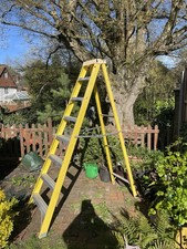 Werner 8 Tread Fibreglass Step Ladder - Yellow (7160818)