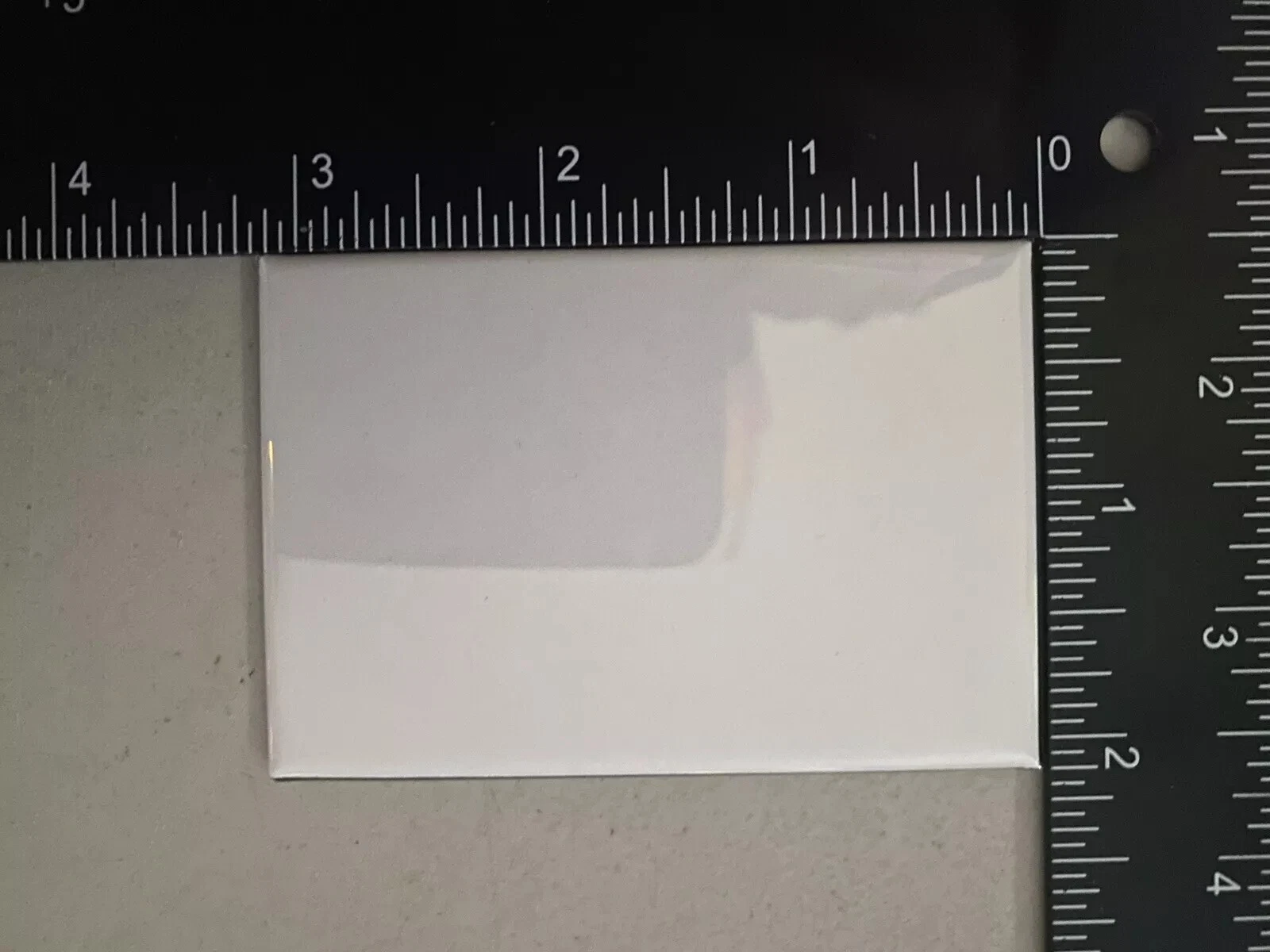 2025 NCAA Men's Basketball Champions Florida Gators Magnet