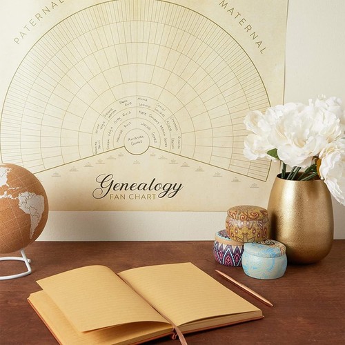 15 Pack Blank Family Tree Chart 17x22 in Fillable Genealogy Forms Wall Decor - Picture 3 of 8