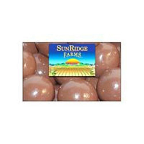 Sunridge Farms Chocolate Peanut Butter Malt Balls 10 LB