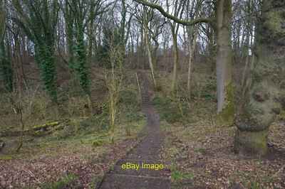 Foto 6x4 Weg in Longacre Wood Dutton aufgenommen aus dem Trent & Merse c2022